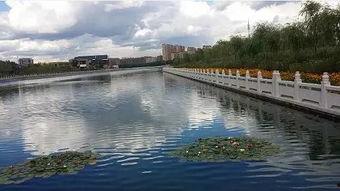 滕州小黑河跳河最新爆料,揭秘真相与救援行动”